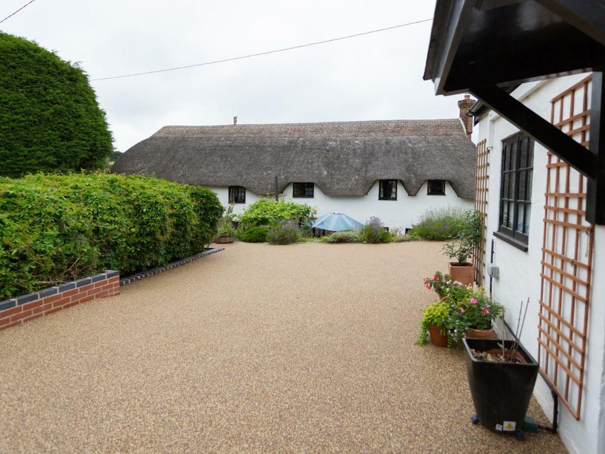 Little England Cottage Milborne Saint Andrew エクステリア 写真