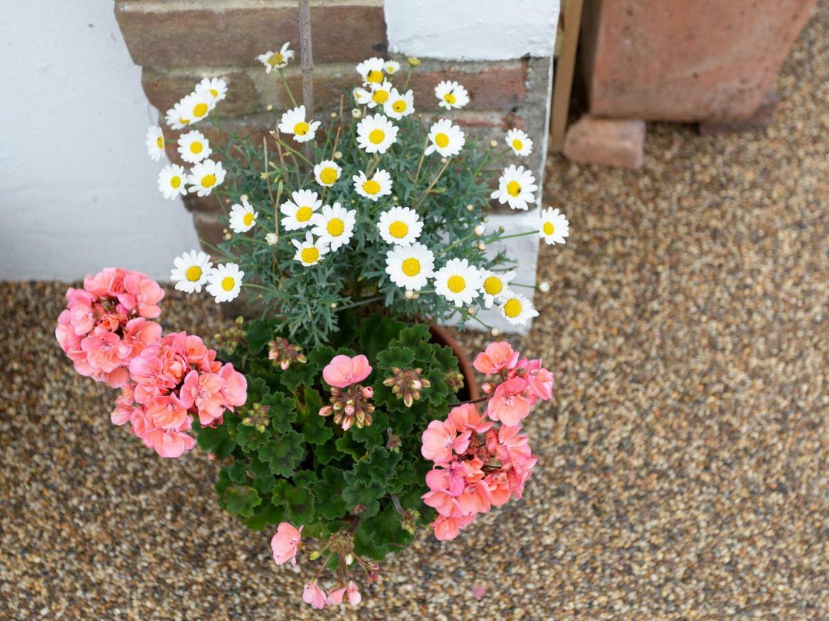 Little England Cottage Milborne Saint Andrew エクステリア 写真